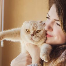 ¿Los gatos deberían pasear fuera de casa? ¿Los gatos deberían pasear fuera de casa?