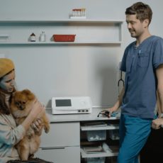 Conoce todo sobre la vacunación para perros Conoce todo sobre la vacunación para perros