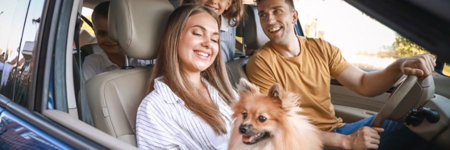 Consejos para viajar con tu mascota