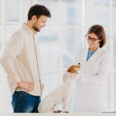 Tratamiento quirúrgico para problemas traumatológicos en animales Tratamiento quirúrgico para problemas traumatológicos en animales