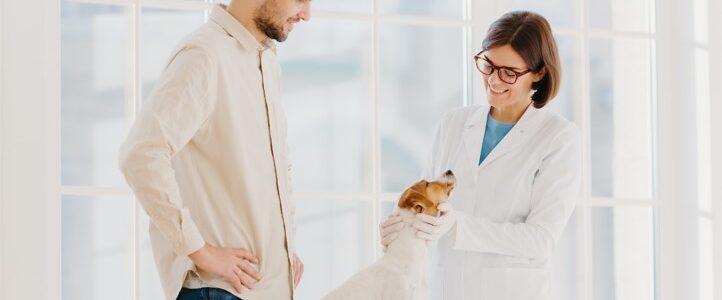 Tratamiento quirúrgico para problemas traumatológicos en animales